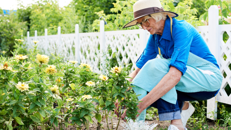 Spring Gardening Tips for Seniors