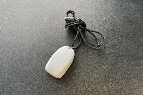 Pendentif collier d’alerte médicale pour système à domicile par ligne fixe